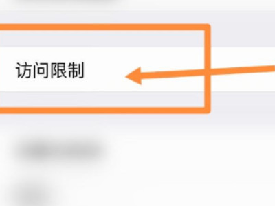 苹果cklib怎么关第3步