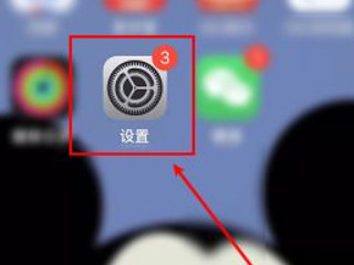 safari主页面没东西了第1步
