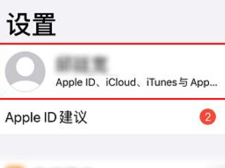 safari主页面没东西了第2步