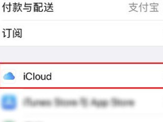 safari主页面没东西了第3步