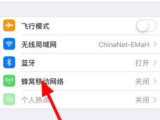 苹果手机怎么查流量使用明细第2步