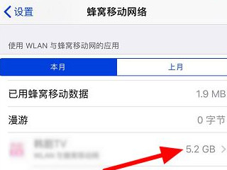 苹果手机怎么查流量使用明细第4步