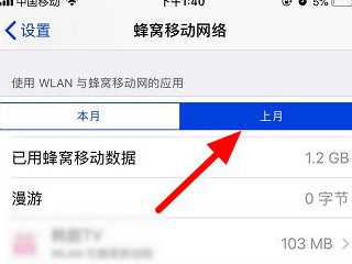 苹果手机怎么查流量使用明细第5步