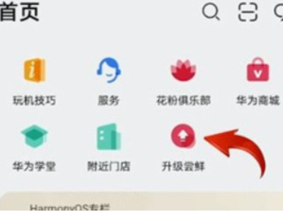 华为鸿蒙系统怎么升级mate20第2步