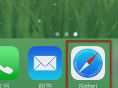 强制删除苹果桌面书签第1步
