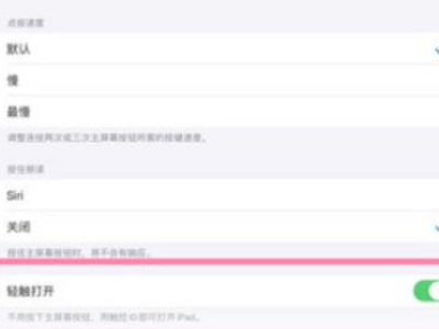 ipad2020怎么设置轻触屏幕就会亮第4步