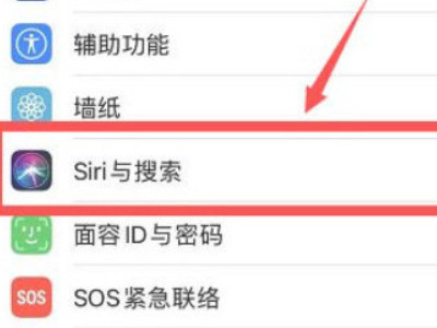 麦克风正常siri检测不到语音第2步