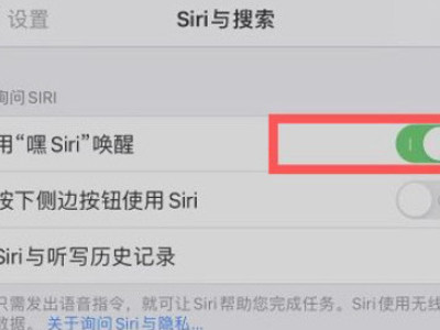 麦克风正常siri检测不到语音第3步