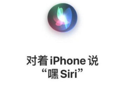 麦克风正常siri检测不到语音第5步
