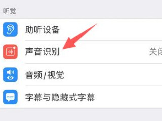 苹果声音识别有什么用第2步
