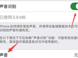 苹果声音识别有什么用第4步