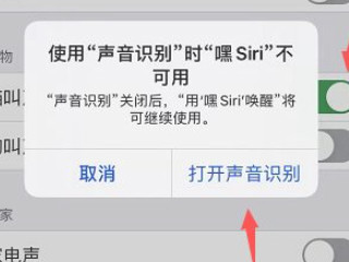 苹果声音识别有什么用第6步