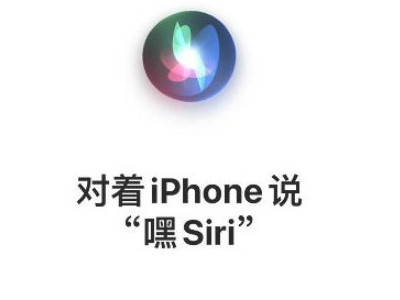设置嘿siri无法录入声音第5步