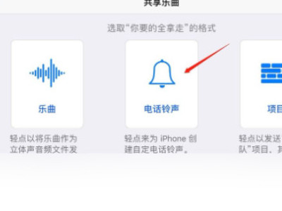 苹果12怎么设置歌曲来电铃声第4步