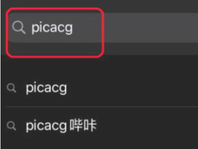 ios端怎么下picacg第2步