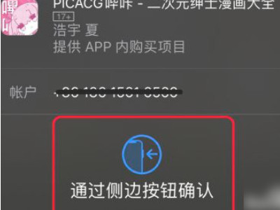 ios端怎么下picacg第4步