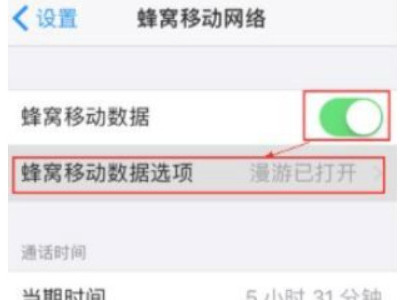 iphone11找不到apn设置第2步