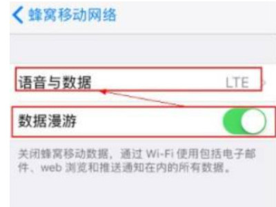 iphone11找不到apn设置第3步