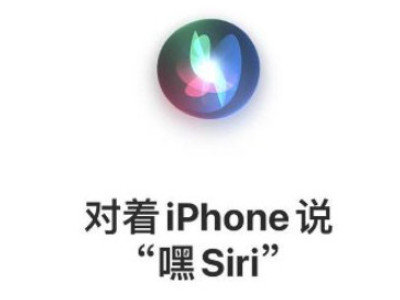 苹果12叫siri没有回答声音第5步