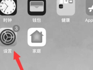 iphone黑白变不回彩色第1步