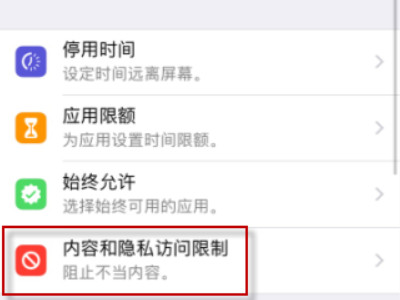 ipad怎么关掉下载密码第3步