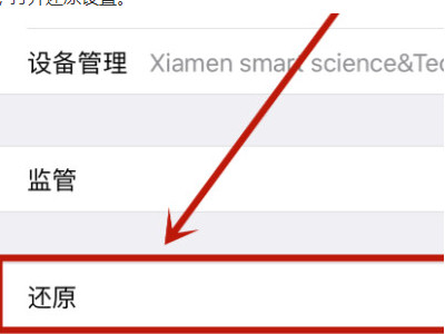 苹果11网络忽然变成E网络了第3步