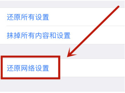 苹果11网络忽然变成E网络了第4步