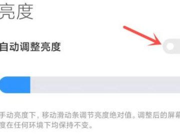 小米手机亮度自动变暗怎么回事第4步