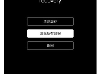 vivoy67强制恢复出厂设置第4步