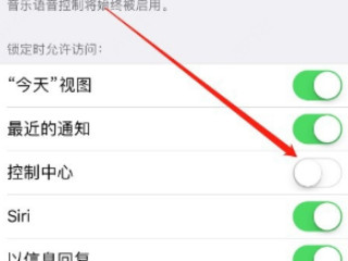 苹果手机不能上划出控制中心第4步