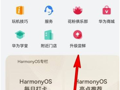 华为nova7怎么升级鸿蒙系统第2步