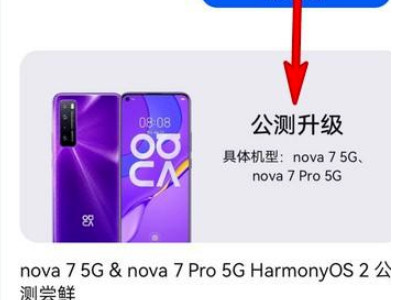 华为nova7怎么升级鸿蒙系统第4步