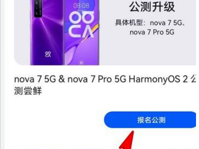 华为nova7怎么升级鸿蒙系统第5步