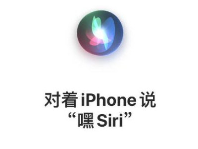 苹果xr叫siri为什么没声音第5步
