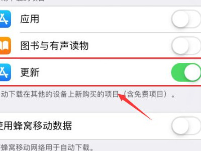 永久屏蔽苹果系统更新第4步