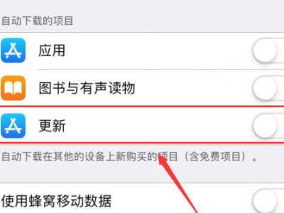 永久屏蔽苹果系统更新第5步
