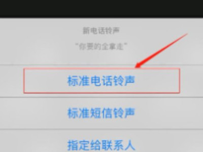 ios设置手机铃声第6步
