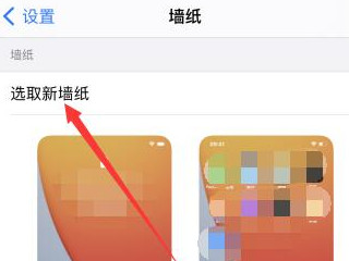 苹果的主题在哪换第2步