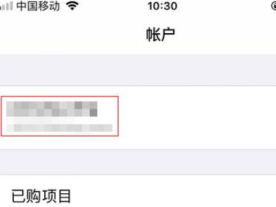 苹果手机怎么改地区下载东西第3步