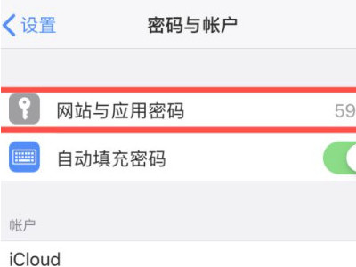 苹果储存的密码在哪里找到第3步