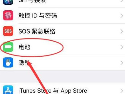 苹果怎么查电池寿命第2步