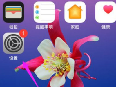 苹果手机facetime怎么用不了第1步