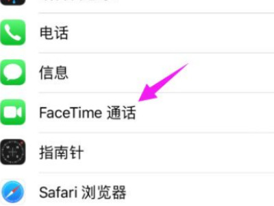 苹果手机facetime怎么用不了第3步