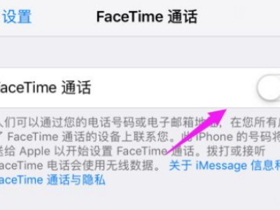 苹果手机facetime怎么用不了第4步