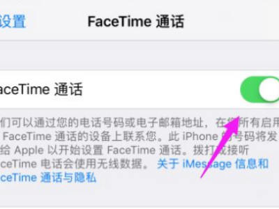 苹果手机facetime怎么用不了第5步