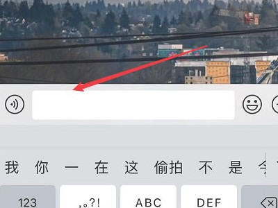 苹果手机复制的东西在哪里可以找到第2步
