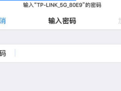 苹果怎么忘记wifi密码重新连接第5步