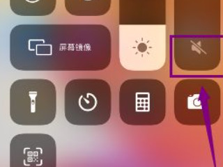 苹果12静音了怎么调回来第2步
