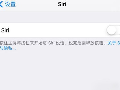 设置了唤醒siri无法唤醒第2步