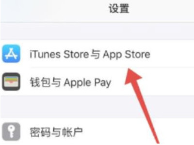 强制删除苹果订阅记录第2步